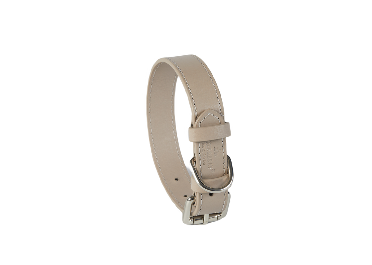 Eco Friendly Leather Dog Collar