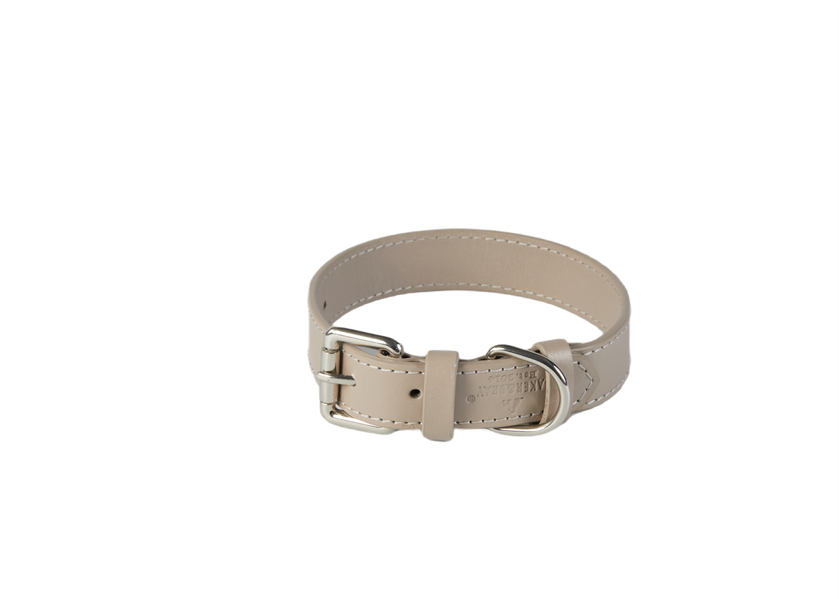 Eco Friendly Leather Dog Collar