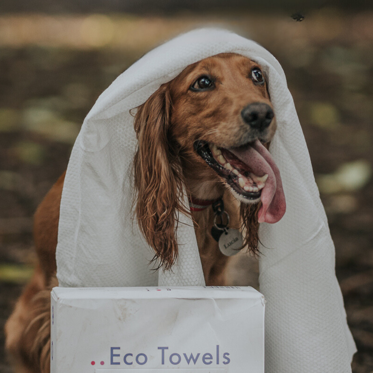 Eco Friendly Dog Towels