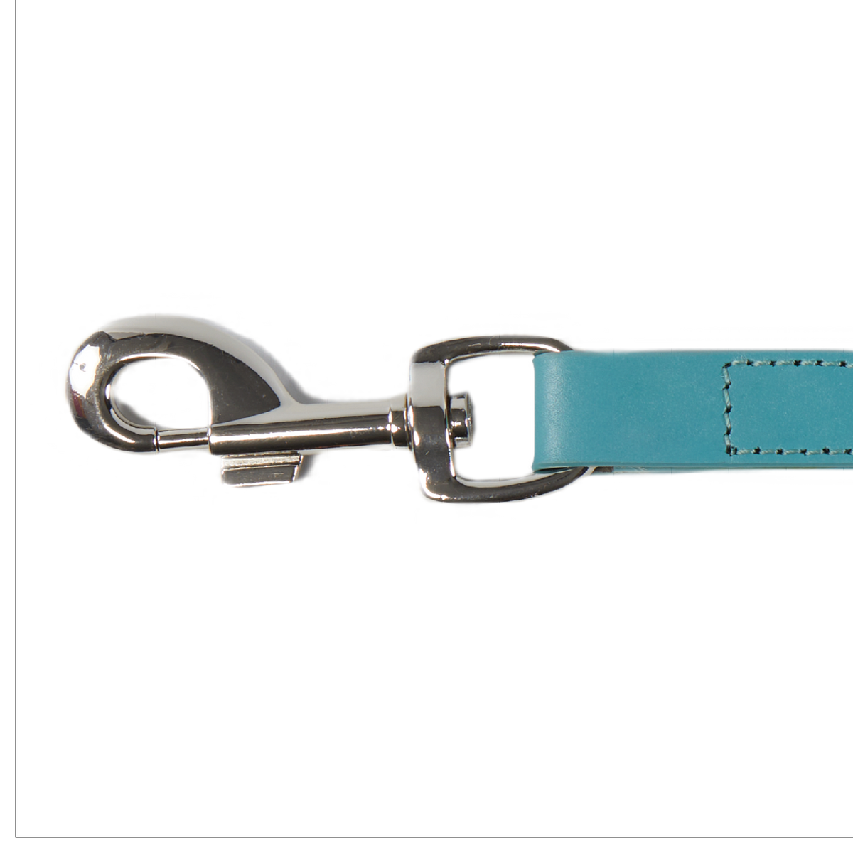 Eco Friendly Leather Dog Lead, Lagoon