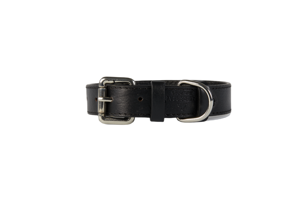 Eco Friendly Leather Dog Collar, Black
