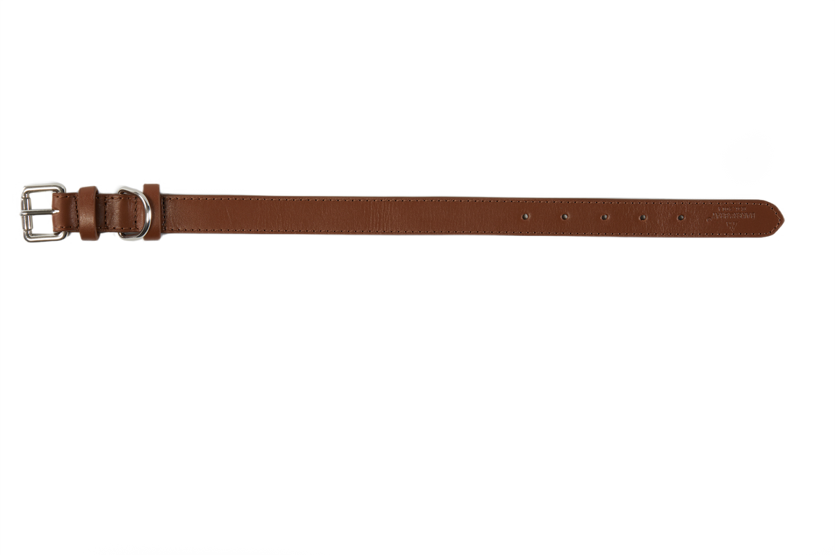 Eco Friendly Leather Dog Collar, Brown