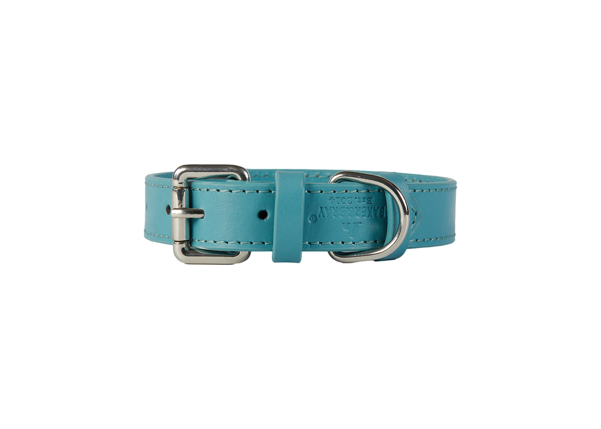 Eco Friendly Leather Dog Collar & Lead Set, Lagoon
