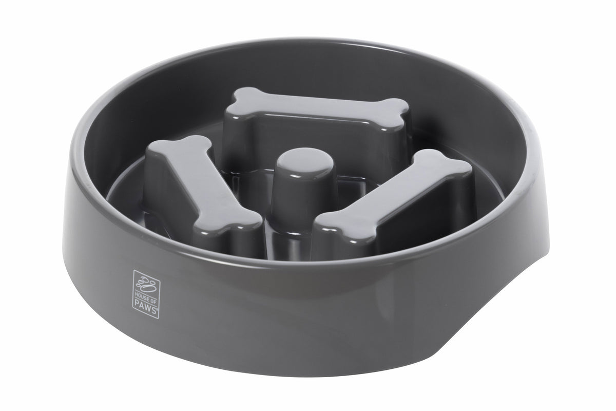 Go Slow Bone Design Dog Bowl Feeder