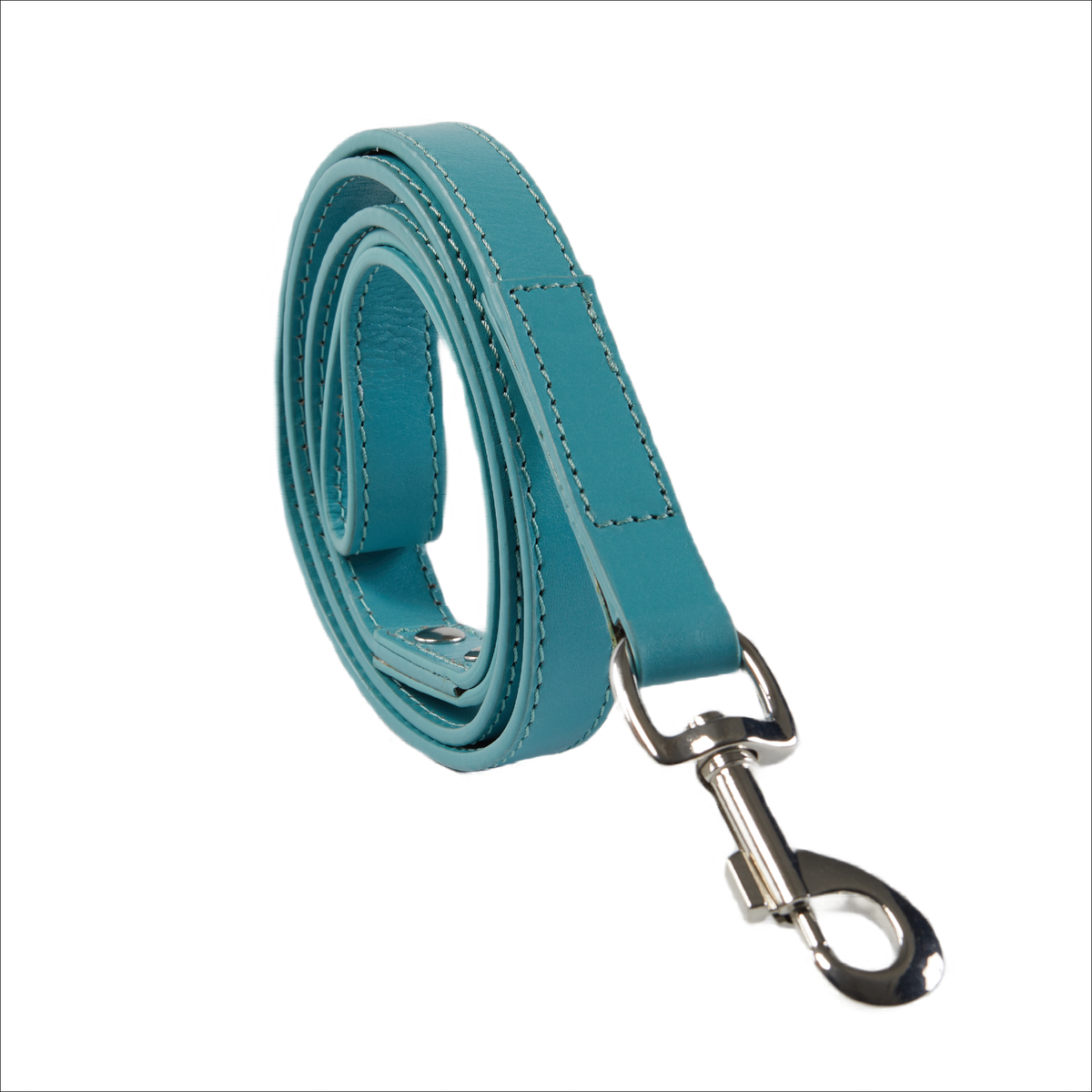 Eco Friendly Leather Dog Lead