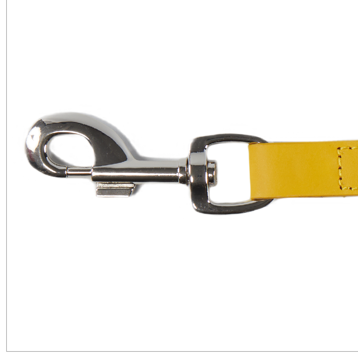 Eco Friendly Leather Dog Collar & Lead Set, Lemon