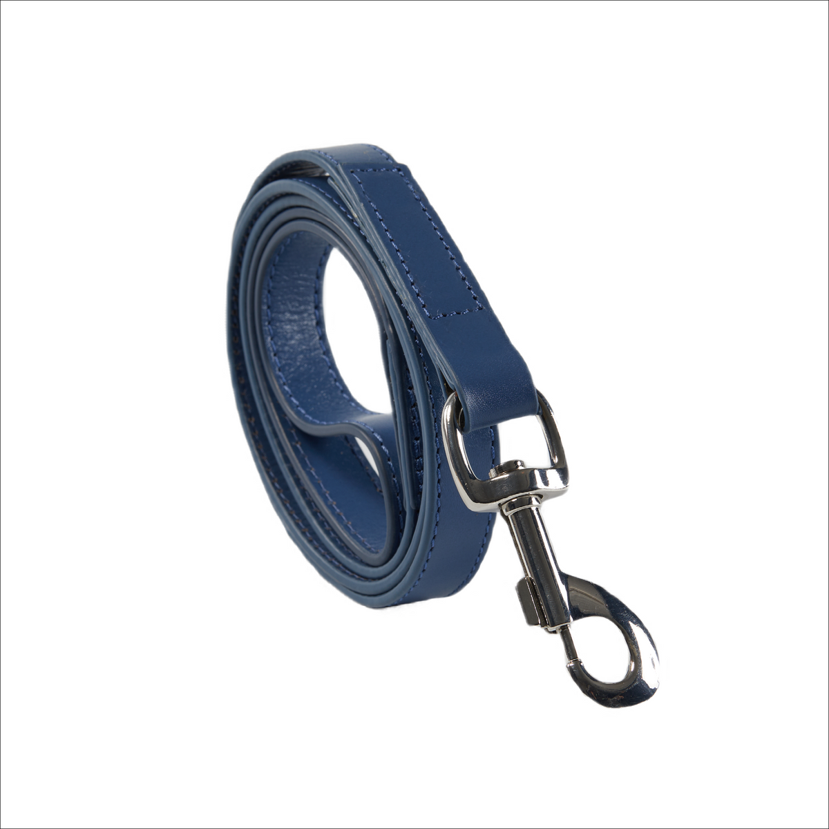 Eco Friendly Leather Dog Lead