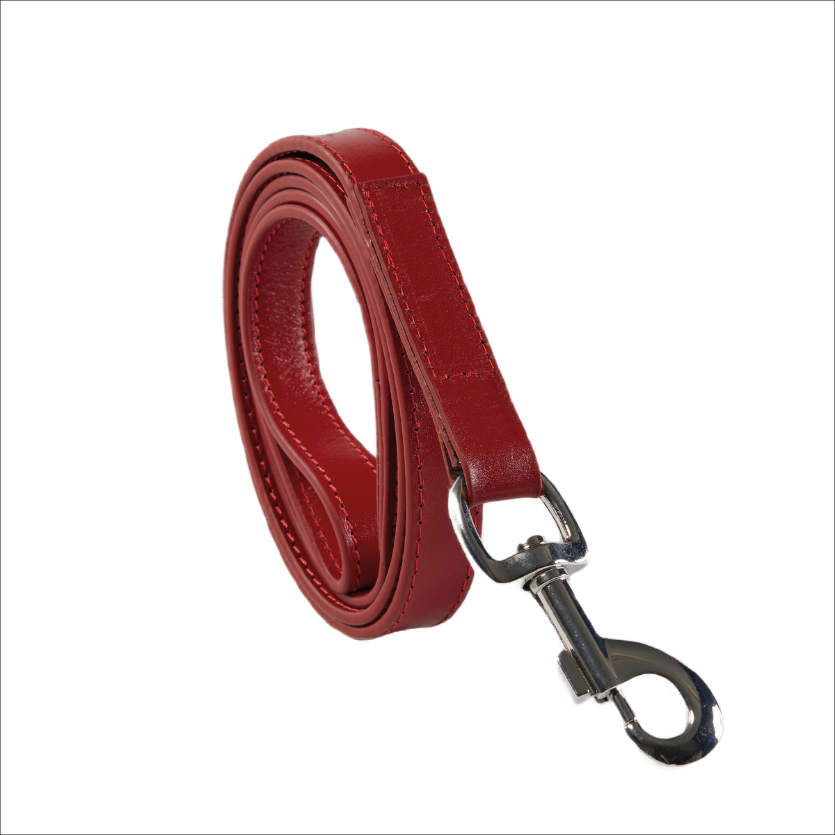 Eco Friendly Leather Dog Lead