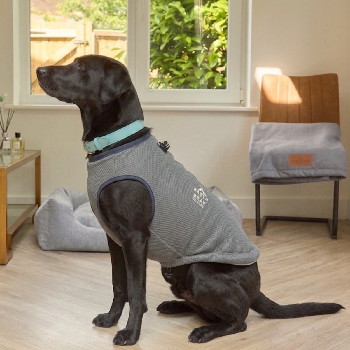 Luxury Breathable Cooling Dog Vest