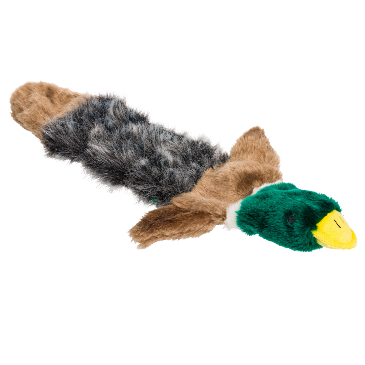 Woodland Duck