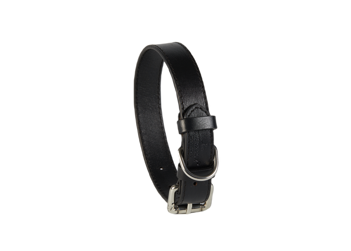 Eco Friendly Leather Dog Collar, Black