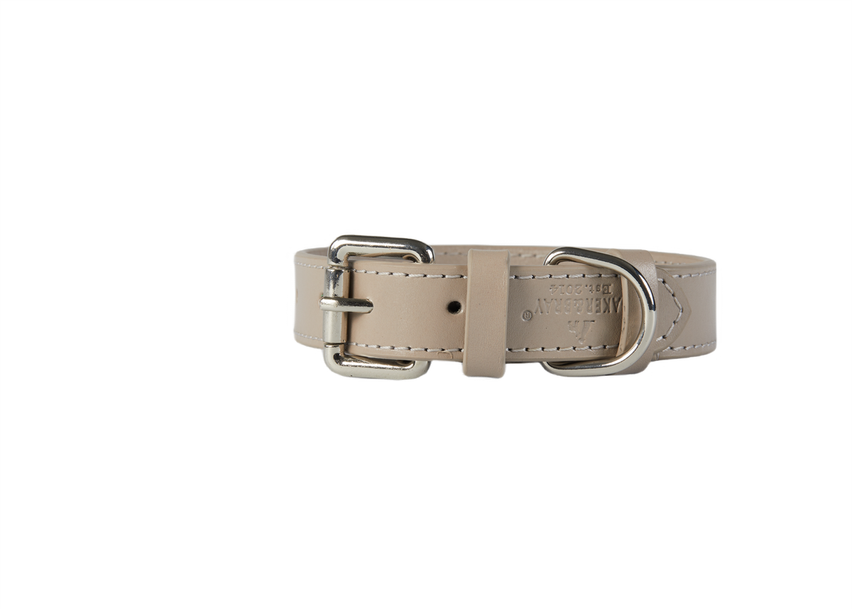 Eco Friendly Leather Dog Collar, Ash