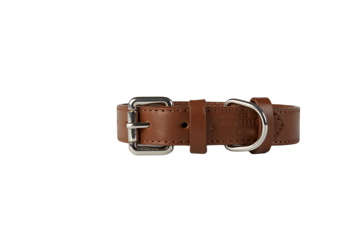 Eco Friendly Leather Dog Collar, Brown