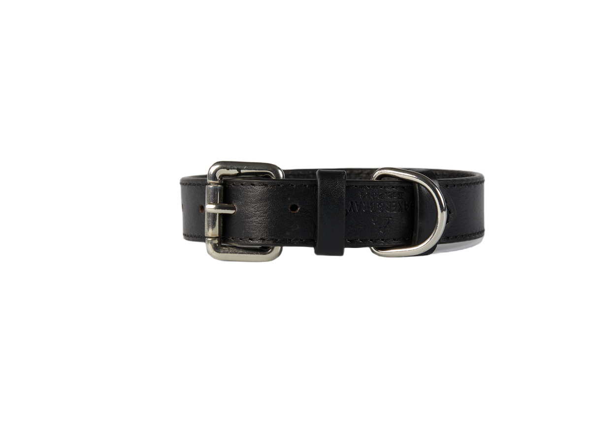 Eco Friendly Leather Dog Collar & Lead Set, Black