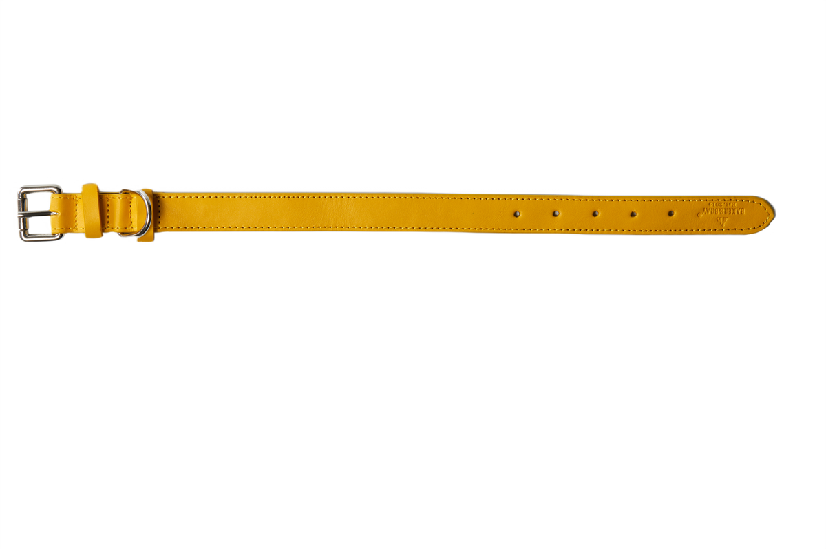 Eco Friendly Leather Dog Collar, Lemon