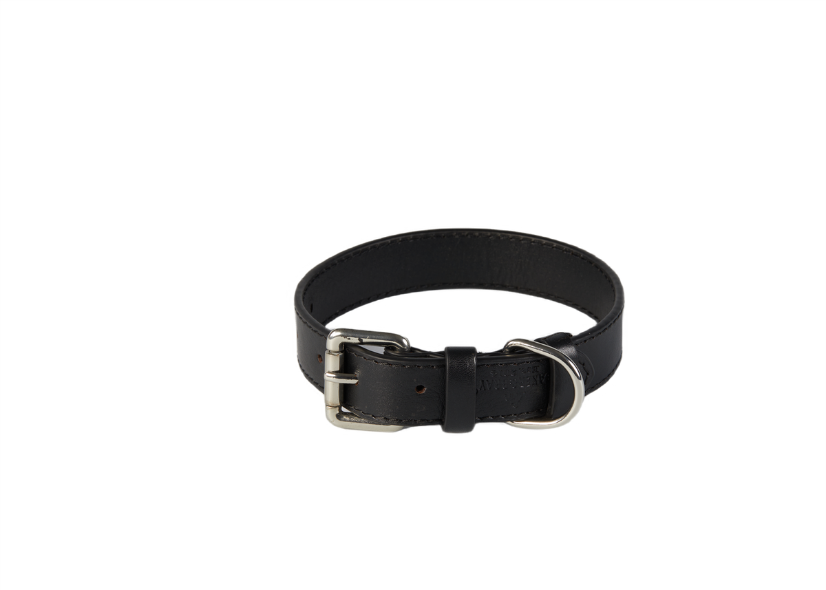 Eco Friendly Leather Dog Collar, Black